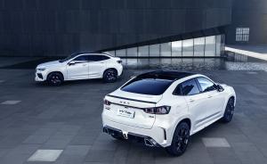 WEY VV7 GT brabus | automotive 2020 года 
